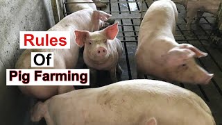 10 MustKnow Rules Of Pig Farming  Every PIG FARMER Should WATCH THIS [upl. by Bonney760]