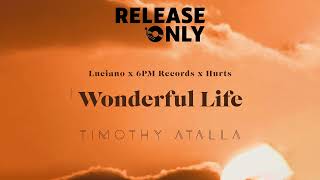 Luciano  Wonderful Life Timothy Atalla Edit [upl. by Ydnak]