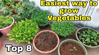 Easiest way to grow Top 8 Vegetables at HomeGarden  Small space gardening CC [upl. by Saffian]