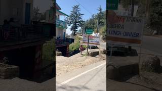 Naldehra Ya Shimla Tourist Kaha Jaye minivolgs shortvideo vlog minivlog vlogger vlog viral [upl. by Eppilihp160]