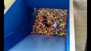 Ball Pool Pit Drop Slide Fun at Cornwalls Crealy Cornwall [upl. by Ahtibbat]