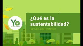 ¿Qué es la sustentabilidad [upl. by Edrick]