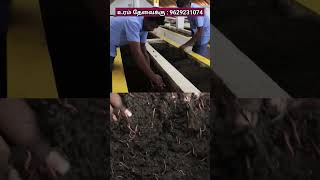 இப்படி எல்லாம் கூடவா மண்புழு உரம் ரெடி பண்ணுவாங்க  vermicompost farm in tamil  vermiculture [upl. by Ellene167]