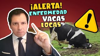 ¡CUIDADO BRASIL REPORTA PROBABLE CASO DE ENFERMEDAD DE VACAS LOCAS ¿RIESGO HUMANO [upl. by Ennoirb]