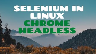 How to run selenium cases in linux server using Chrome Browser in Headless Mode [upl. by Einor397]