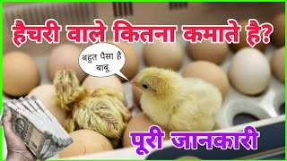 हैचरी वाले कितना कमाते है  पूरी जानकारी  Hatchery wale kitna kamate hai  Hatchery Business info [upl. by Ahtelra734]