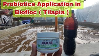 How to Ferment and Apply Probiotics in Biofloc Technology Pond [upl. by Xyla]