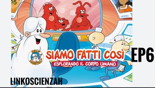 Siamo fatti così Ep6 [upl. by Akemahc]