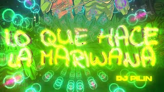 Lo que hace la mariwana  DJ PILIN ​ [upl. by Irah]