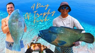 I Finally Catch My Dream Fish On The Great Barrier Reef [upl. by Yahc]