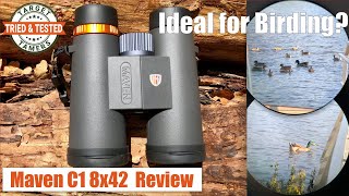 Maven C1 8x42 Binocular Review With Birding Footage amp Photos Via Digiscope Adapter [upl. by Nahpos]