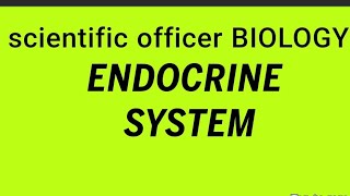 endocrinologyendocrinologypsc pscsscientific cofficerbiolgy [upl. by Nabetse]