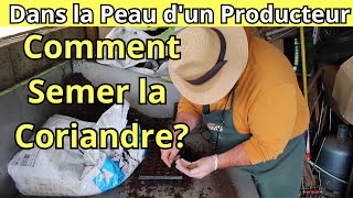 Comment Semer la Coriandre en Micro Motte [upl. by London582]