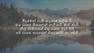 Meedumen Wasi   Bathiya N Santhush  Lyrics Video [upl. by Yelbmik]