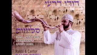 דודו דרעי  אדיר ונאור [upl. by Ogu]