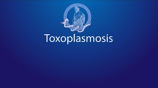 TOXOPLASMOSIS Definición epidemiología microbiología y clínica [upl. by Irrep]