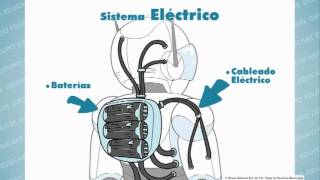 GRUPO EDUCARE COMPONENTES DE UN ROBOT [upl. by Onairpic]