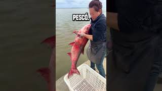 Libera a los peces en el mar shortsvideo [upl. by Velasco]