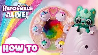 Hatchimals Rainbow Hatchery  The How To [upl. by Enamrahc]