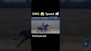 OMG 😳 speed 🚄 horse trendingshorts viralshorts new kathiyawadihorse horsefan horselover new [upl. by Opiak94]