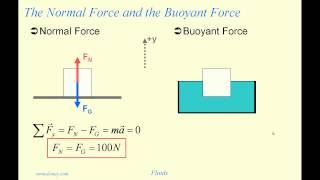 Fluids The Buoyant Force [upl. by Emma]