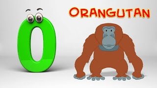 ABC Song  Phonics Letter O [upl. by Shing]