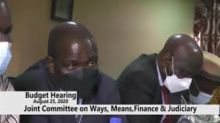 JOINT COMMITTEE ON WAYS MEANS FINANCE AND JUDICIARY BUDGET HEARING [upl. by Denoting]