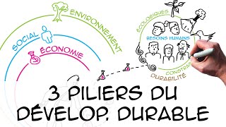 Les 3 piliers du développement durable regard scientifique [upl. by Mindy]