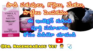 Tribivet injection uses in Telugu Tribivetinjectionveterinarymedicine dairyanimal sheep goat [upl. by Cori]