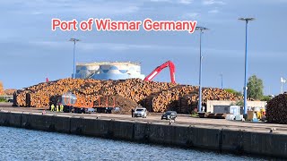 Self Discharging Cargo Timber Logs port of Wismar Germany [upl. by Dituri321]