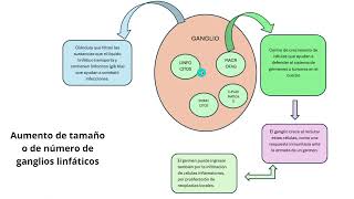 Revista de Enfermería NT20  Fisiopatología de Adenitis Cervical [upl. by Hammer881]