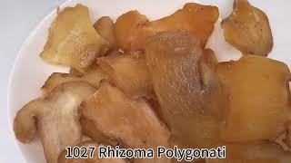 1027 Huang Jing Bulk Chinese Herbs Dried Polygonatum Natural Raw Sibiricum Rhizoma Polygonati [upl. by Naicad263]