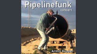 Pipelinefunk Concert Live [upl. by Nosbig]