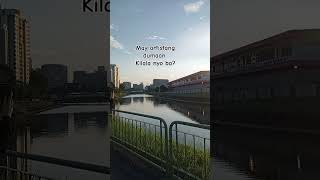 Kallang river Singapore kallang river singapore shortsfeed shorts fyp [upl. by Lertnek]