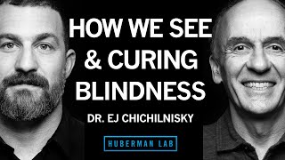 Dr EJ Chichilnisky How the Brain Works Curing Blindness amp How to Navigate a Career Path [upl. by Arutak896]