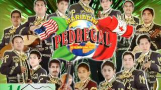 MARIACHI PEDREGAL TERESAwmv [upl. by Eillam]