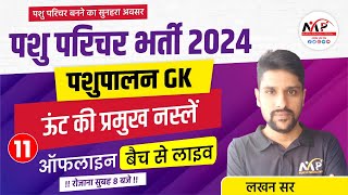 Animal Attendant Exam 2024  पशुपालन सामान्य ज्ञान  ऊँट की प्रमुख नस्लें  DrMukesh Pancholi [upl. by Nawj]