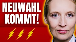 ⚡ ALICE WEIDEL KÜNDIGT NEUWAHLEN AN⚡ [upl. by Auqinot726]