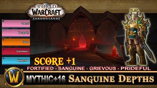 Sanguine Depths Mythic 16 Fortified Sanguine Grievous Spideful Prot Paladin Shadowlands [upl. by Lesli]