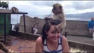 Girlfriend Attacked By The Rock Of Gibraltar Monkeys  Travel Vlog [upl. by Gelasius]