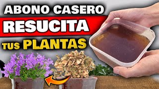 REVIVE PLANTAS ENFERMAS o SECAS  Aplica ESTO para CURAR tu PLANTA  Fertilizante Casero Natural [upl. by Lamprey]