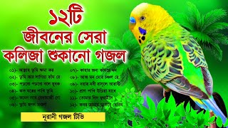 জীবনের সেরা ১২টি বাছাই করা কলিজা শুকানো গজল  Heart Touching Emotional Top 12 Islamic Gojol [upl. by Arok817]