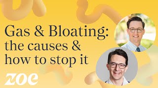 Gas and bloating the causes and how to stop it  Dr Will Bulsiewicz [upl. by Haliehs]