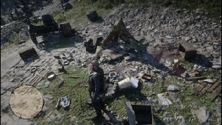 Red Dead Redemption 2  Special Miracle Tonic Pamphlet Recipe Location [upl. by Einnaffit422]