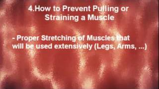 The Muscular System  Muscle Pulls Strains [upl. by Rutter915]