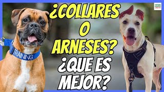 🔴 COLLARES Y ARNESES PARA PERROS ¿CUAL ES MEJOR VENTAJAS E INCONVENIENTES 🔴 [upl. by Nylrem]