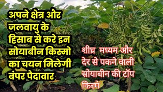 सोयाबीन किस्म चयन कैसै करे  Soybean variety selection  Soybean top variety 2024 [upl. by Almira]