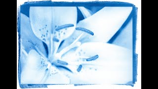 Making a New Cyanotype  Start to Finish [upl. by Salangia]