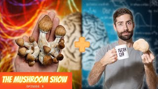 Combining Psilocybin With Lions Mane  New Patent and 60M In Funding The Mushroom Show Ep 8 [upl. by Terence]