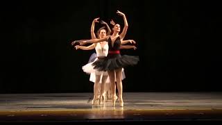 Pointe Performance at Philadelphia Dance Day 2018 [upl. by Tnilc]